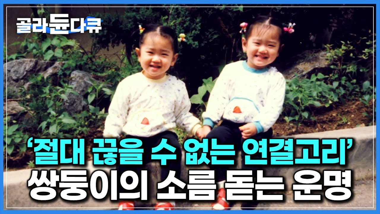 &lsquo;태어난 순간 운명은 정해졌다&rsquo; 40년 동안 840명 쌍둥이를 연구한 실험의 놀라운 결과┃성격과 유전의 연결고리┃다큐프라임┃#골라듄다큐