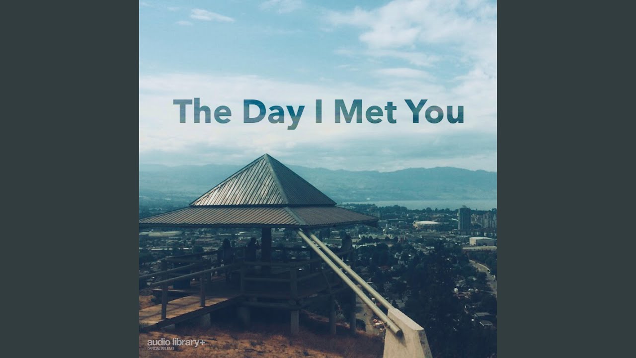 The Day I Met You