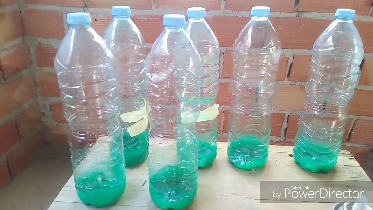 Como hacer nidos para Diamantes Mandarines gratis