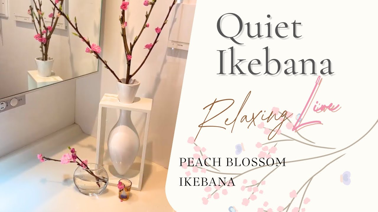 Peach Blossom Ikebana 🌸Quiet & Relaxing Japanese Flower Arrangement #ikebana 