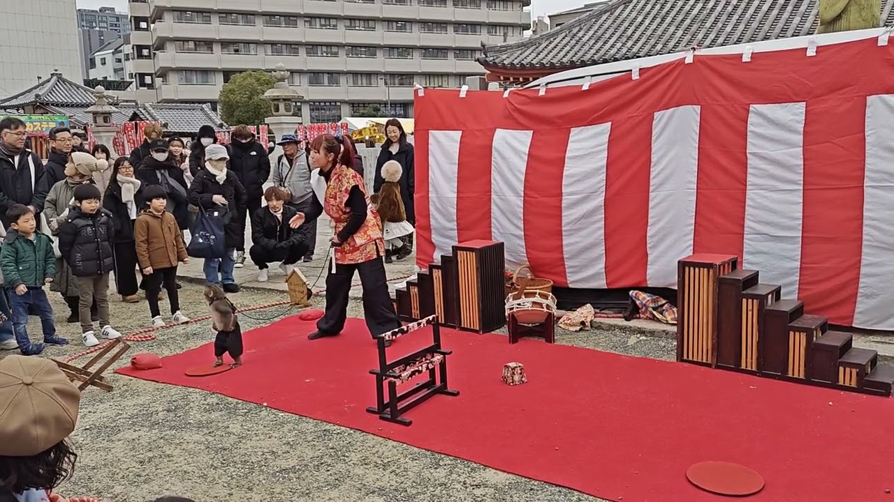 元旦恒例…