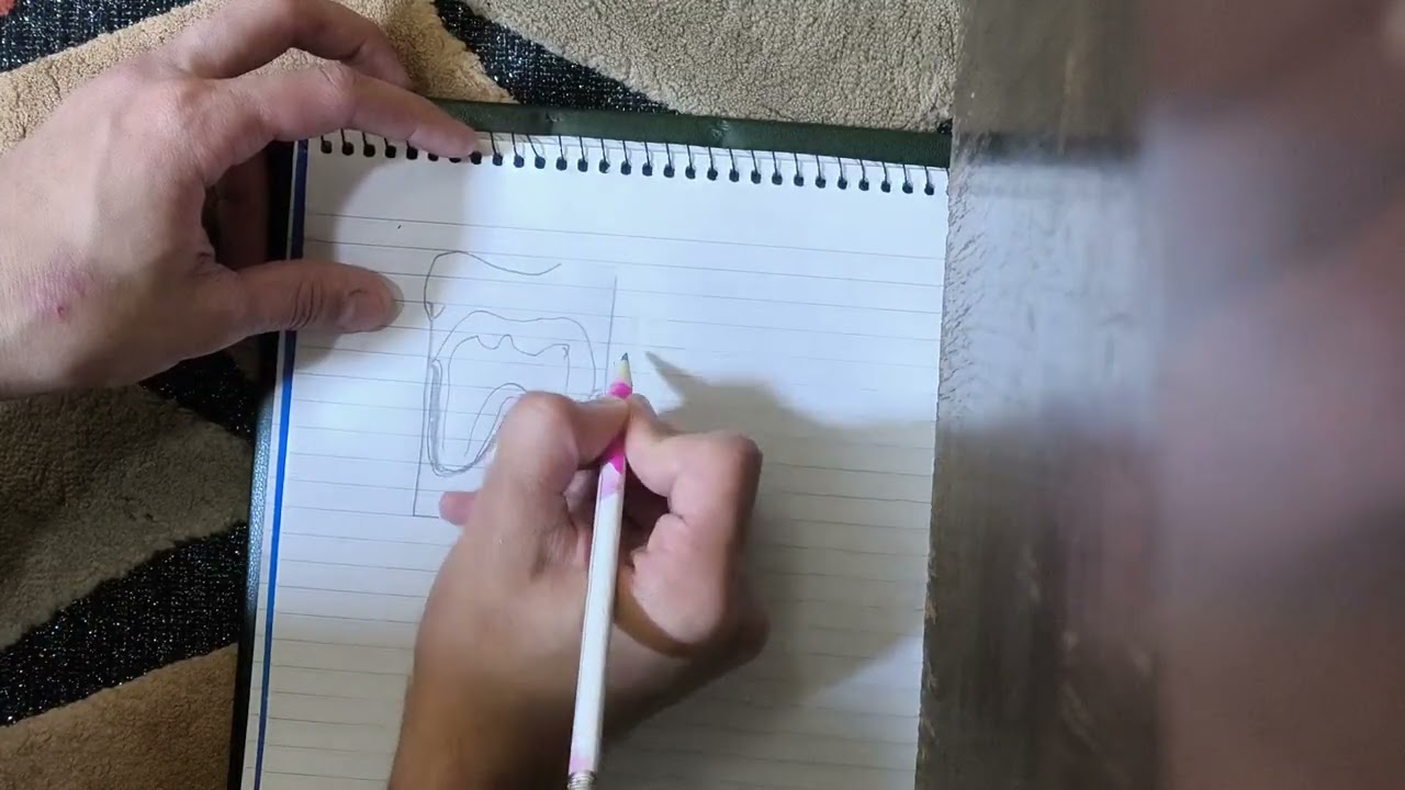 ٢٣ ديسمبر ٢٠٢٥