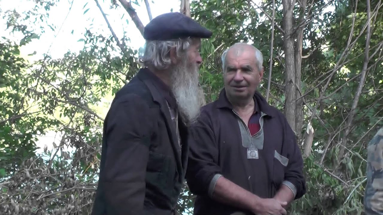 Чужой забрёл не туда
