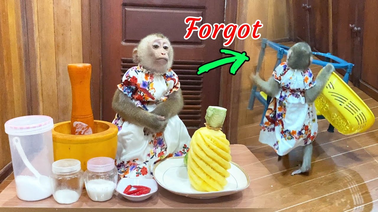 Geeezz..Time To Cook! Judee Forgot Kitchen Rack