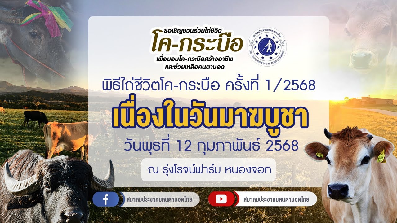 Live : สมาคมประชาคมคนตาบอด ขอเชิญร่วมไถ่ชีวิต โค-กระบือ เนื่องในวันมาฆบูชา