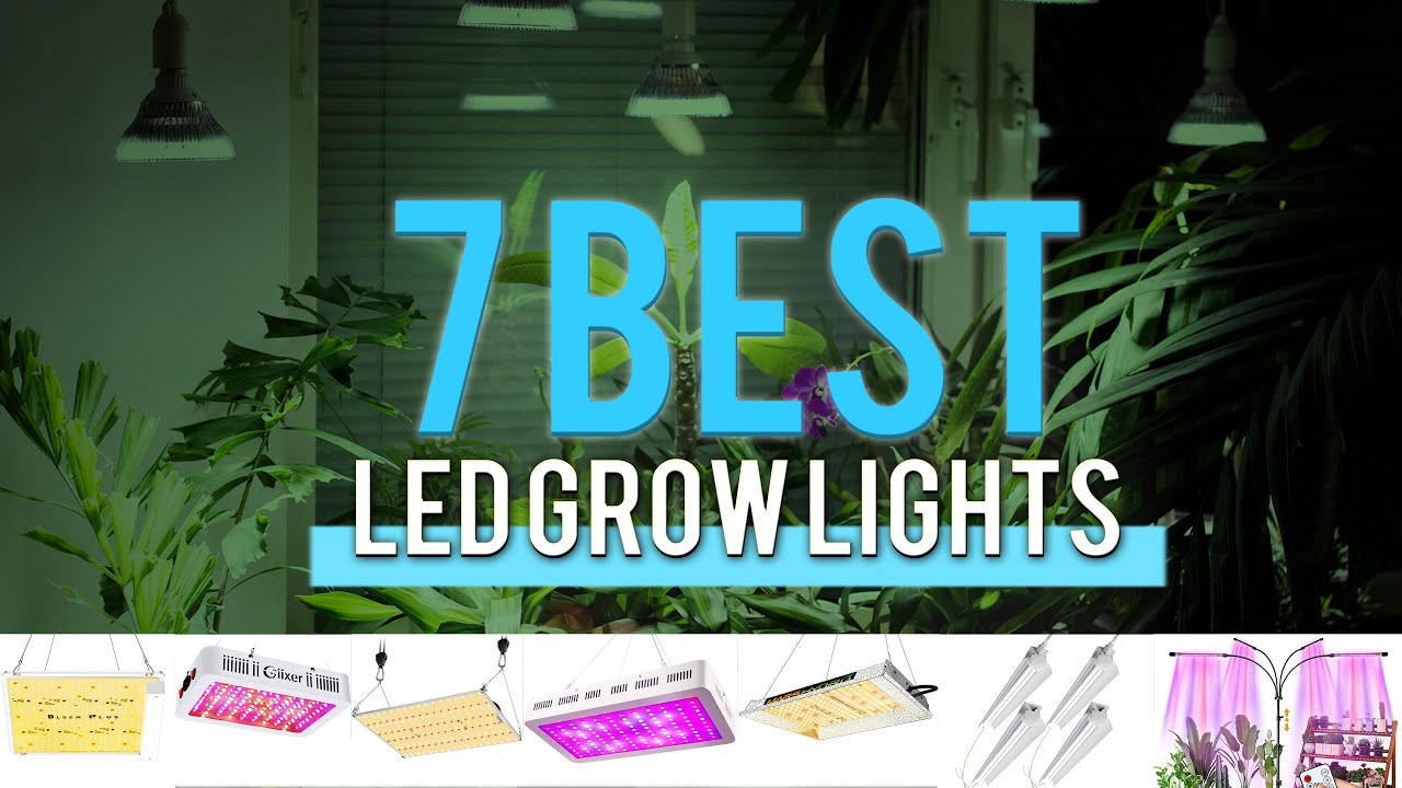 Best LED Grow Lights Under $100 in 2021 [Complete Features]
