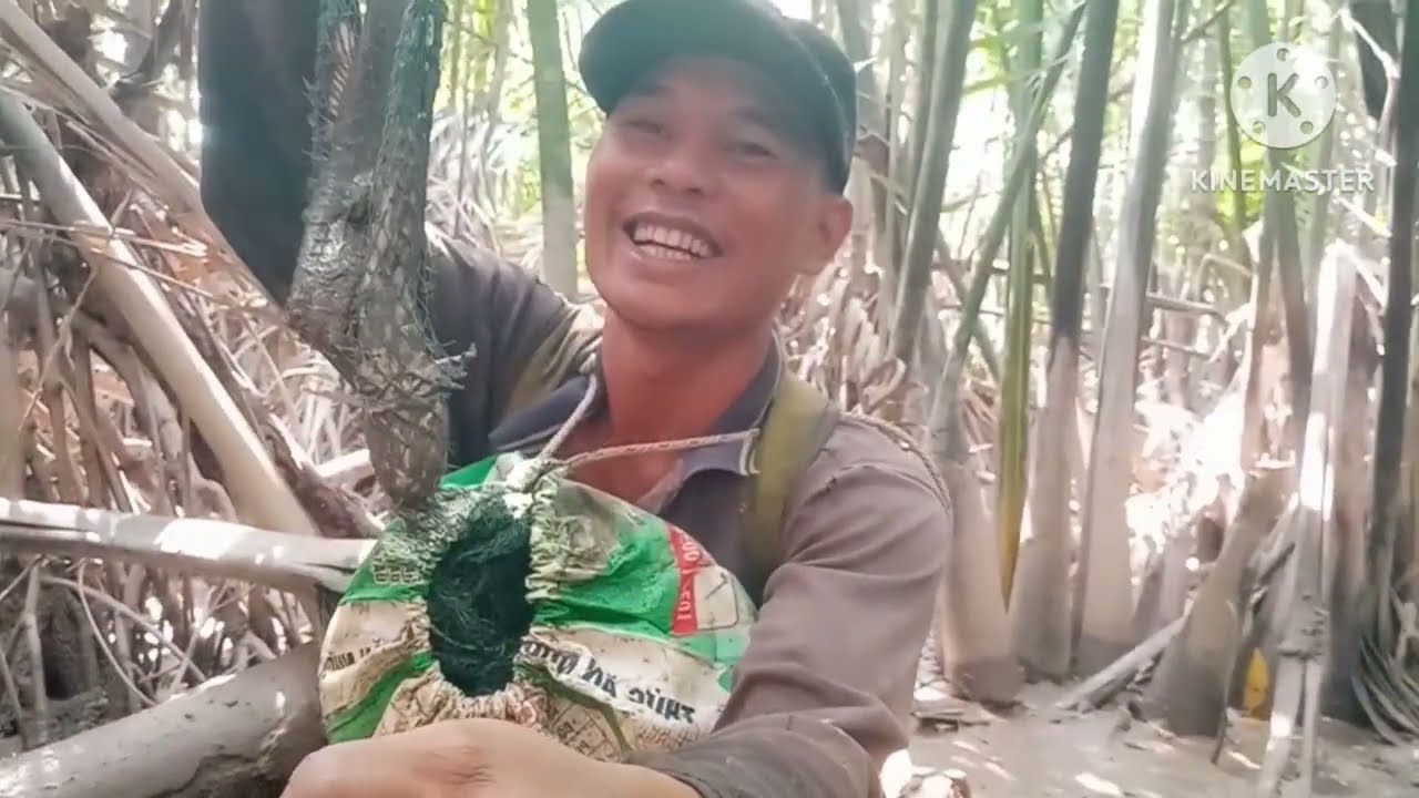 săn bắt rừng bần và trải nghiệm bẩy cá thòi lòi