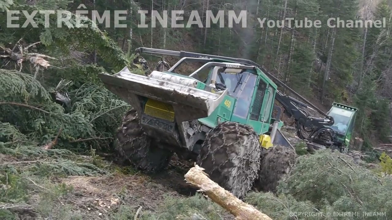 Timberjack HARDCORE !!!!