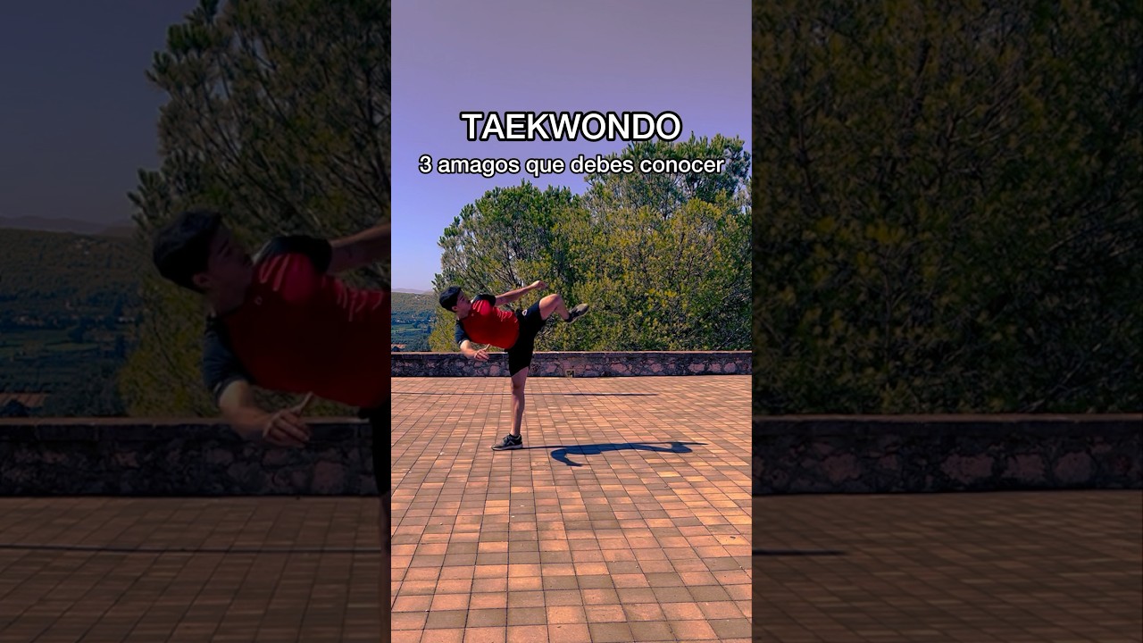 3 fintas que debes conocer 🥋 #taekwondo #taekwondotradicional #tkdlife #tkdfamily #tkdtraining #tkd