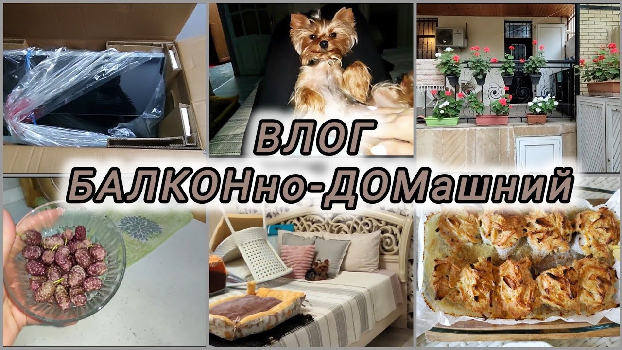 ЖИЗНЬ 50+/ДОМашние ДЕЛА без вас/ГОТОВКА на БАЛКОНе#rugiyavlog