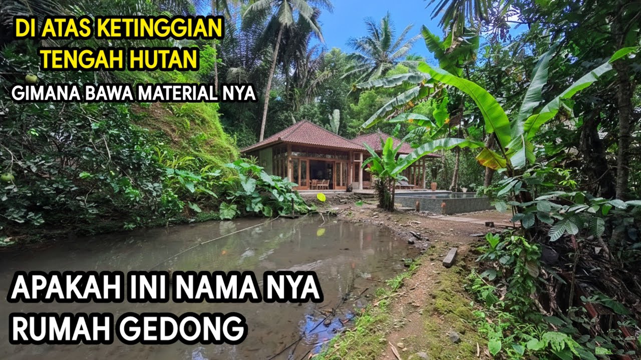 WARGA MENYEBUT NYA RUMAH GEDONG INI MUSTAHIL ADA RUMAH DI TENGAH HUTAN TANPA TETANGGA