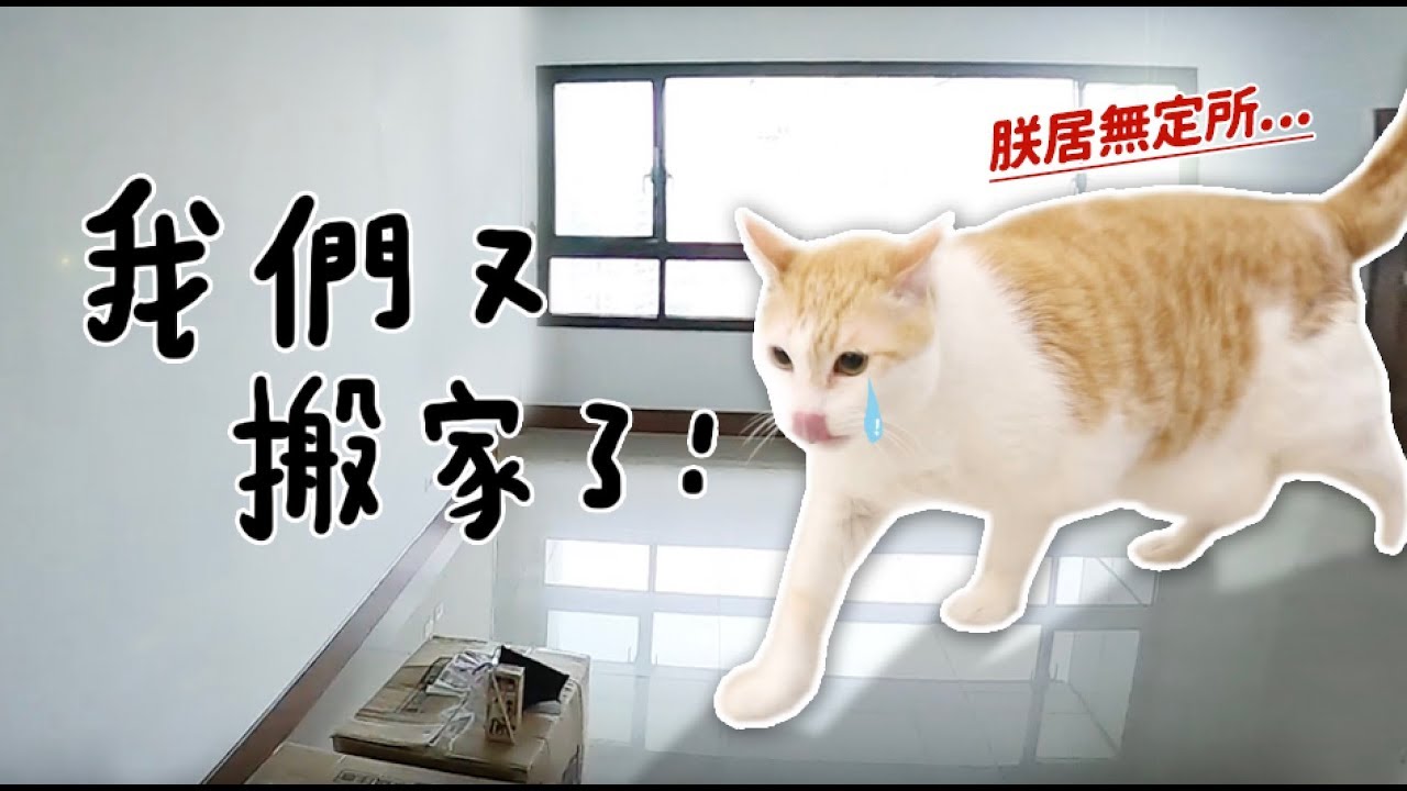 【黃阿瑪的後宮生活】我們又搬家了！