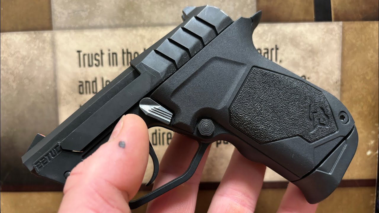 Taurus действительно производит лучшие пистолеты калибра .22 LR