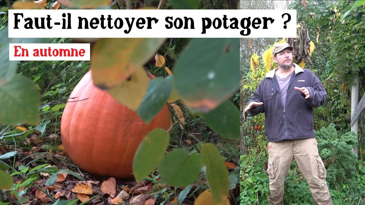 Comment entretenir le potager en automne sans ab&icirc;mer le sol