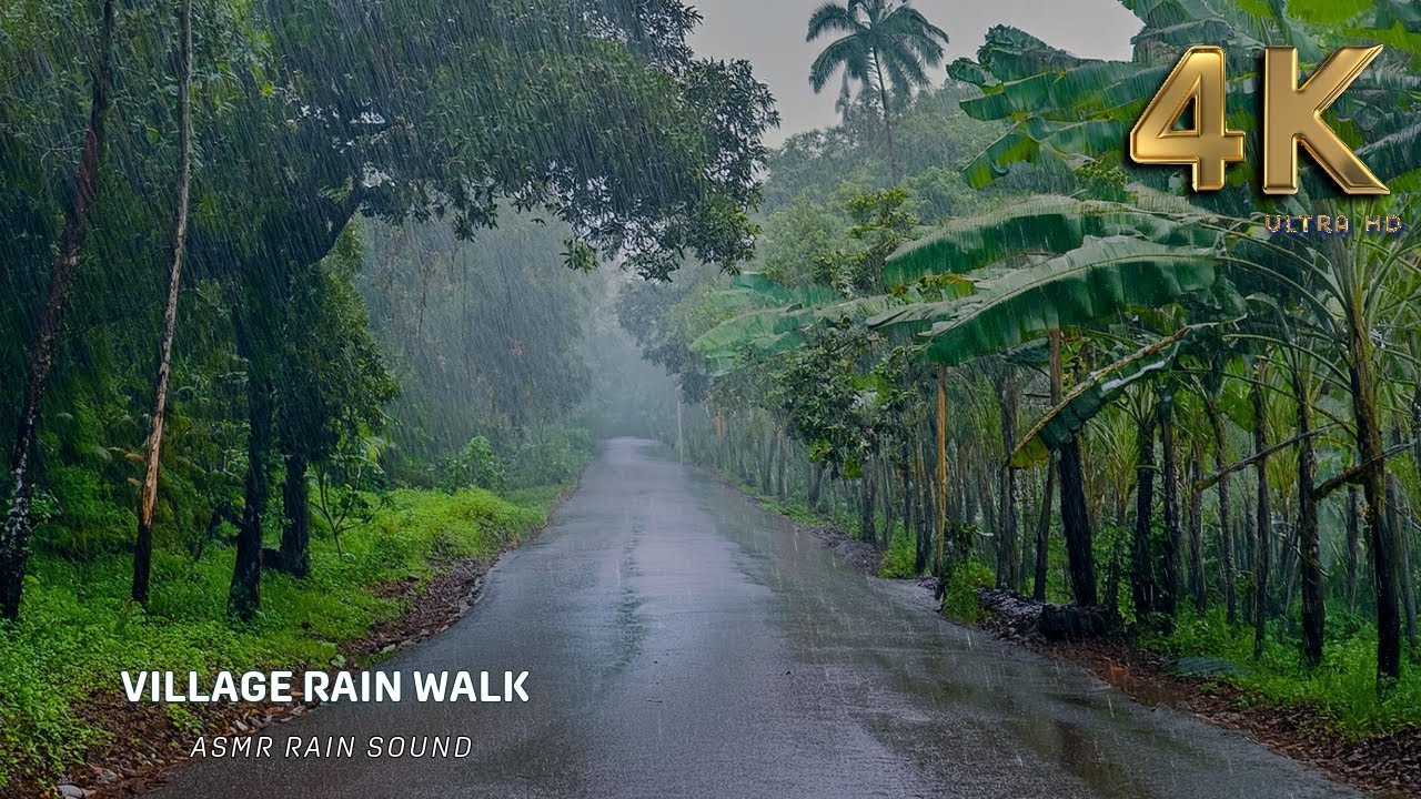 Drifting Through a Rainy Village: An ASMR Sleep Sanctuary: Rain Walk for Deep Sleep and Meditation