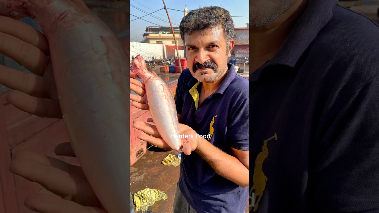 Fish Maw or Swim Bladder