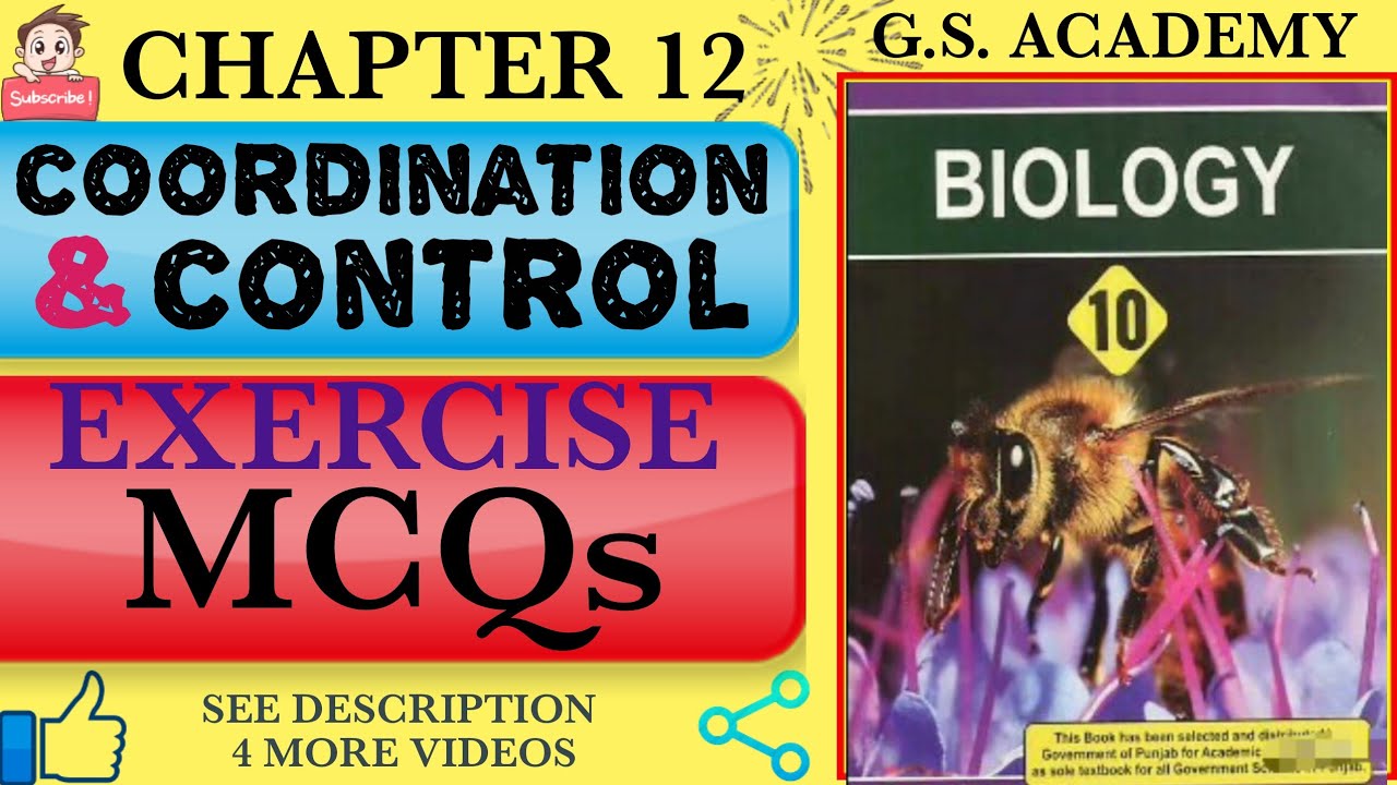 10TH BIOLOGY, Exercise MCQs, Chapter 12, Coordination & Control, Class 10, Biology, GS Academy,
