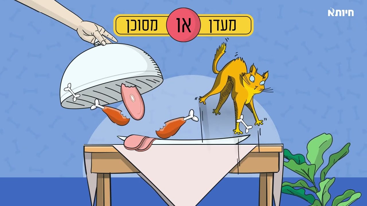 האם מותר לתת לכלב שלי ענבים וצימוקים?