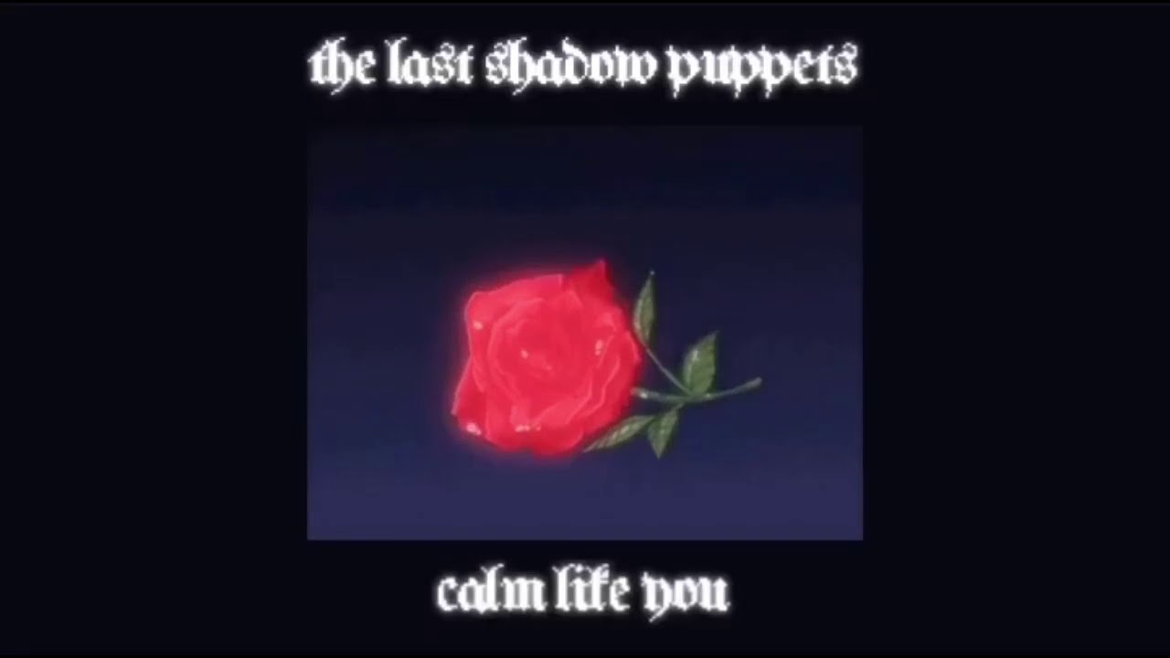 calm like you〔 slowed + reverb 〕