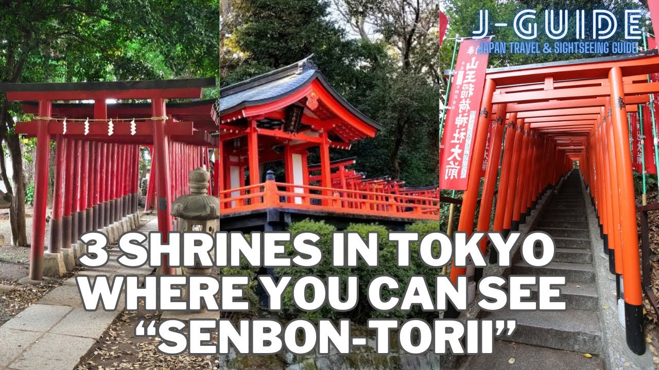Tokyo shrines with “Senbon-torii” like Inari-taisha shrine in Kyoto