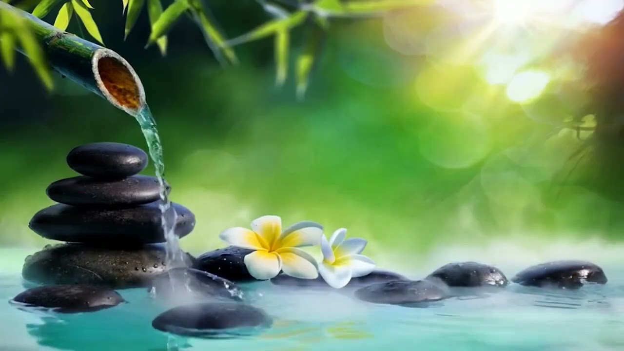 Can’t Sleep? This Bamboo Water Sound Will Knock You Out 😴 Zen Garden Deep Sleep Music