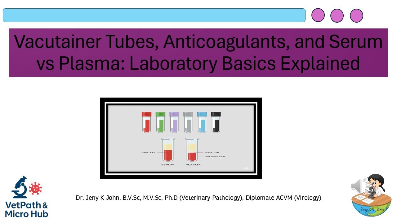 Vacutainer Tubes, Anticoagulants, and Serum vs Plasma: Laboratory Basics Explained