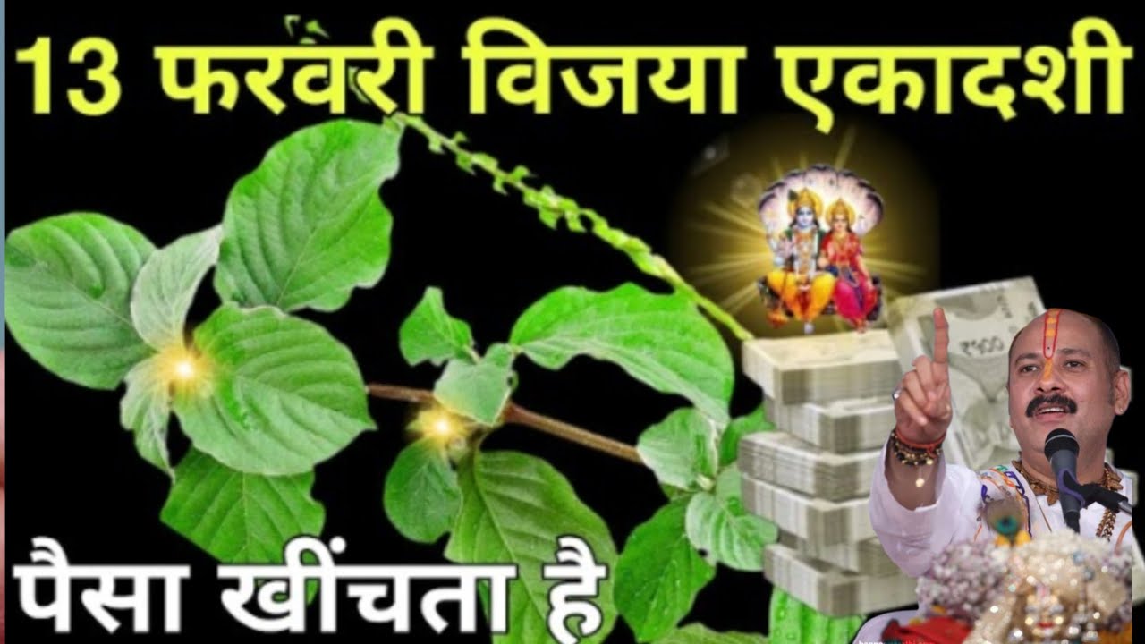 13 फरवरी विजय एकादशी के दिन अपने घर पर पौधा ले आना बन जाओगे रातों रात करोड़पति