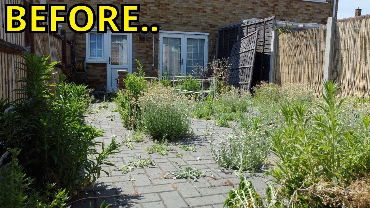 Father DEVASTATED By His OVERGROWN Garden! Neighbour Calls Him LAZY.. He Just Needed A Helping HAND