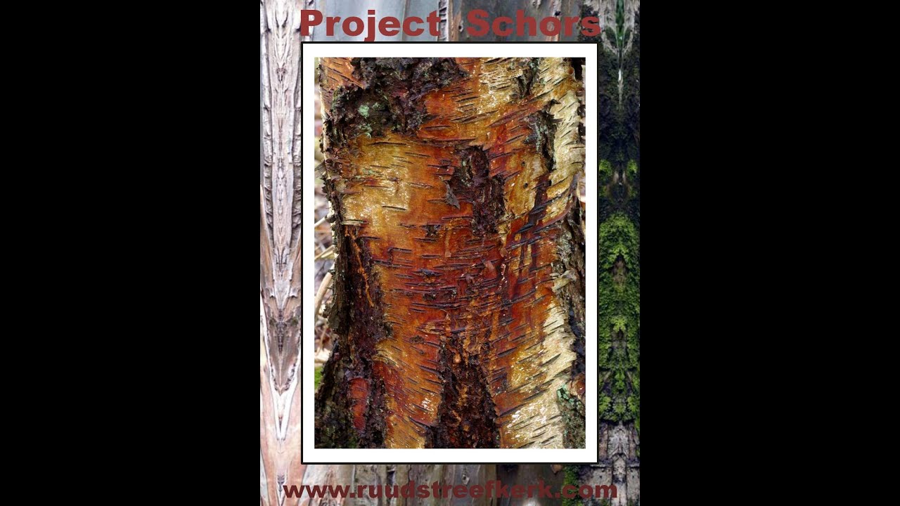 20240123 171409DIGITALE EXPOSITIE  Februari 2024  Leeghwater Ateliers 26Schors