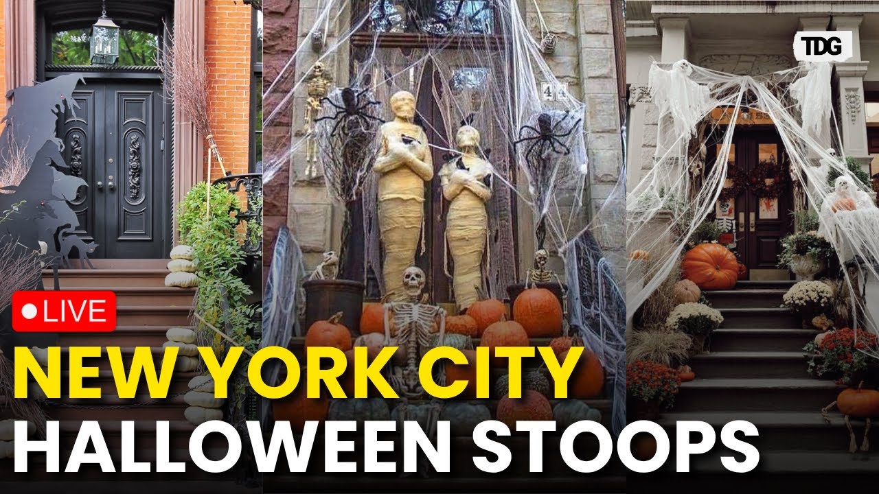 New York City stoops for Halloween 2025 LIVE: NY decorate Halloween stoops with LEGO flowers