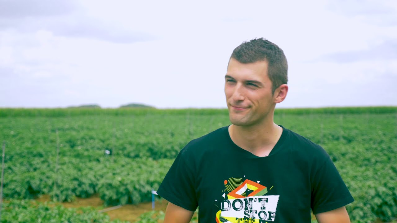 Les premiers résultats de la digistation de Villers-Saint-Christophe dans l’Aisne - ARVALIS-infos.fr