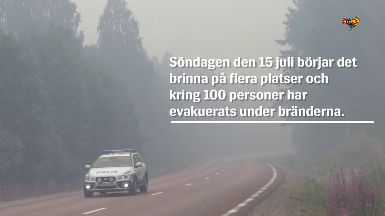 Sommarens v&auml;rsta skogsbr&auml;nder