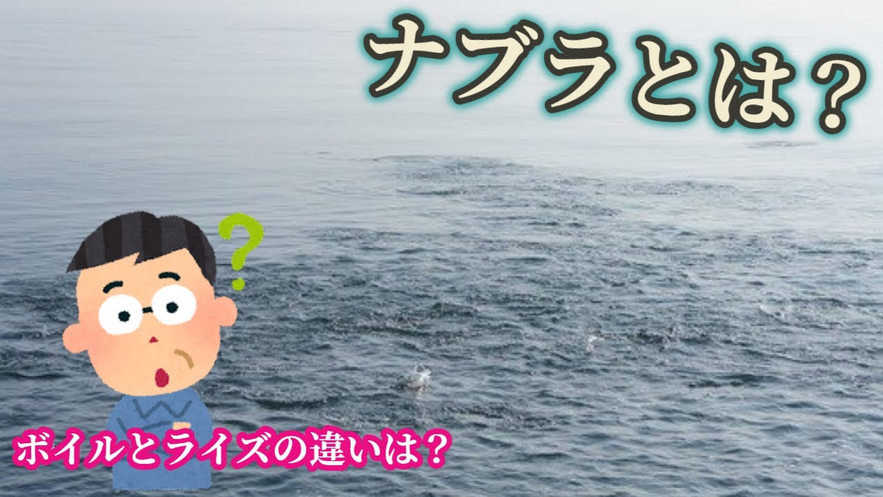 【釣り】ナブラとは？ ボイルとライズの違いも説明します！
