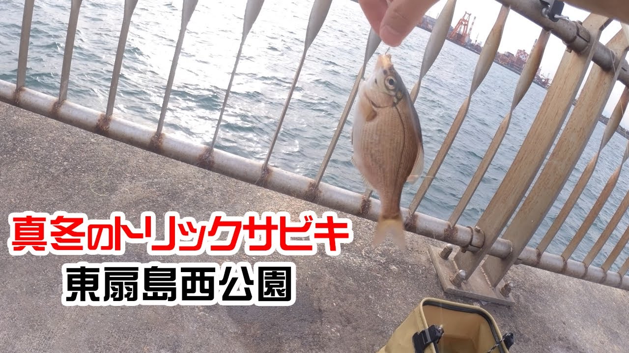 真冬のトリックサビキ＠東扇島西公園