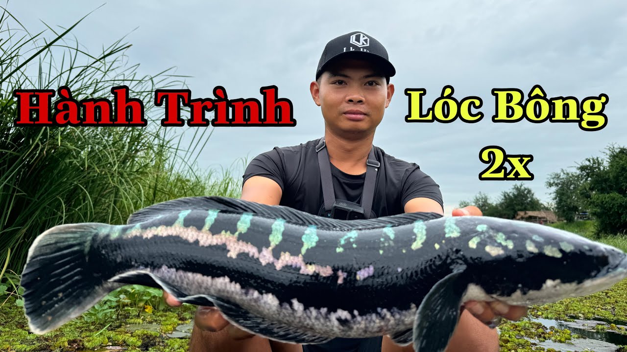 Hành Trình Truy Tìm Lóc Bông 2x ( tập 1 )