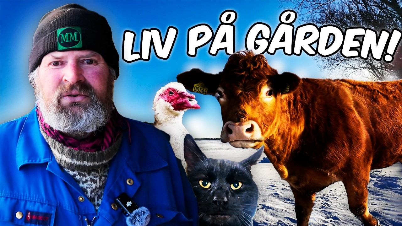 Liv på gården hos Den Glade Bondemand!