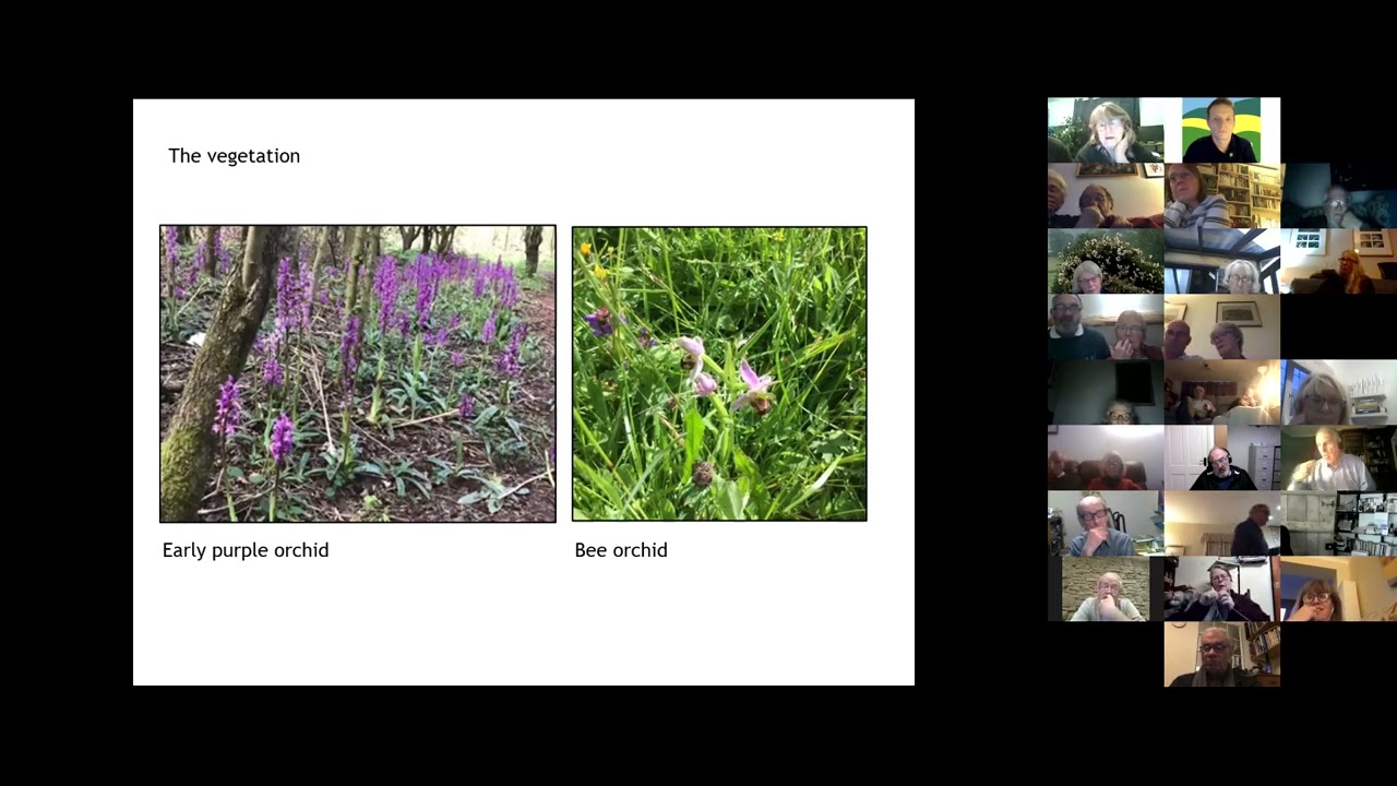 The Geology of Shropshire - Sally Green