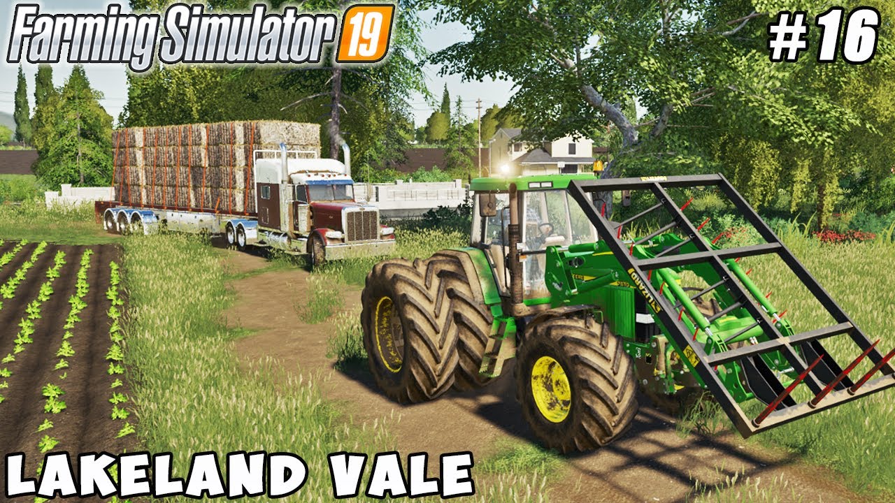 Harvesting soybeans, baling & selling soybean straw  | Lakeland Vale 2 | FS 19 | Timelapse #16