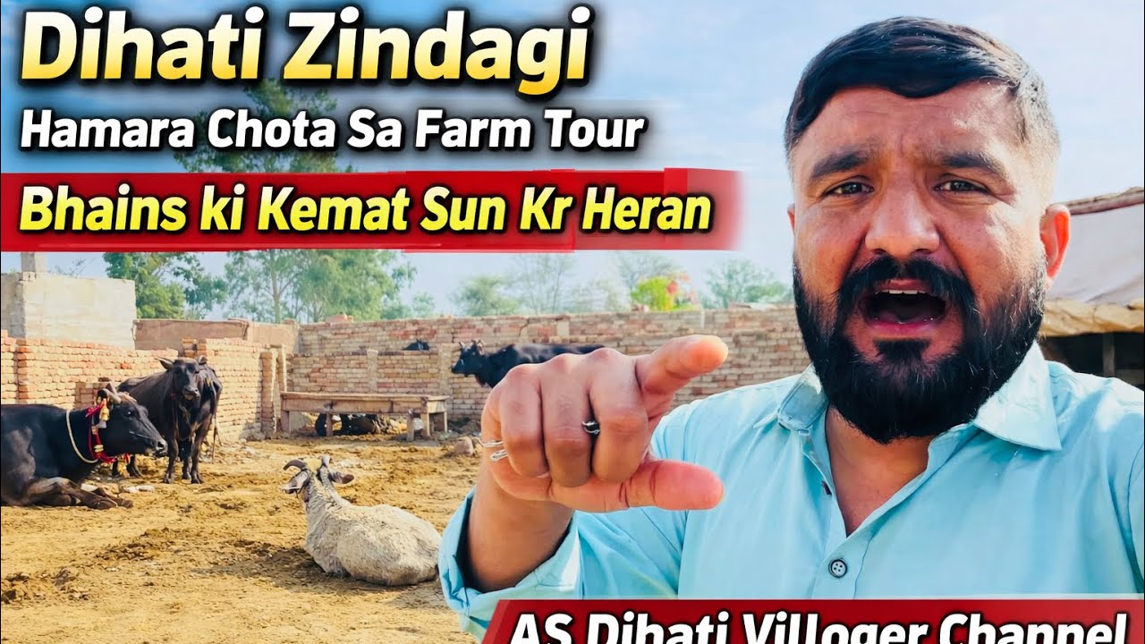 Bhains ki kemat sun kr heran #khanpur #villoger #villagerlifestyle #unfrezzmyaccount 