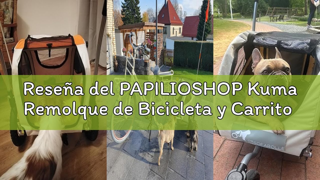 Reseña del PAPILIOSHOP Kuma Remolque de Bicicleta y Carrito para Perro pequeño Mascotas