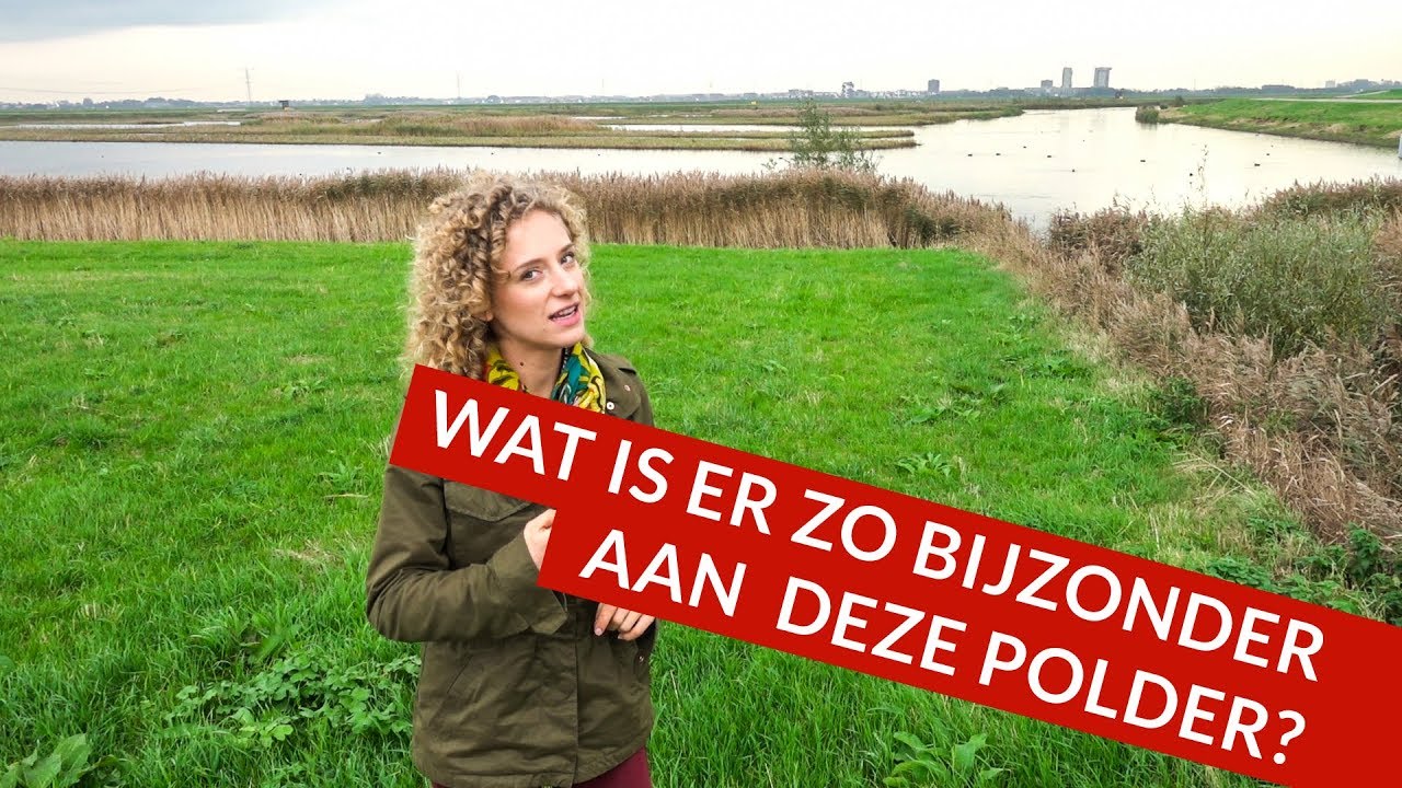 Wat is er zo bijzonder aan de Eendragtspolder?