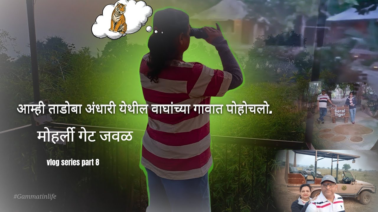 मोहार्ली गेटच booking confirm झालं नाही...आमचा jungle stay कसा होता..tadoba part 1