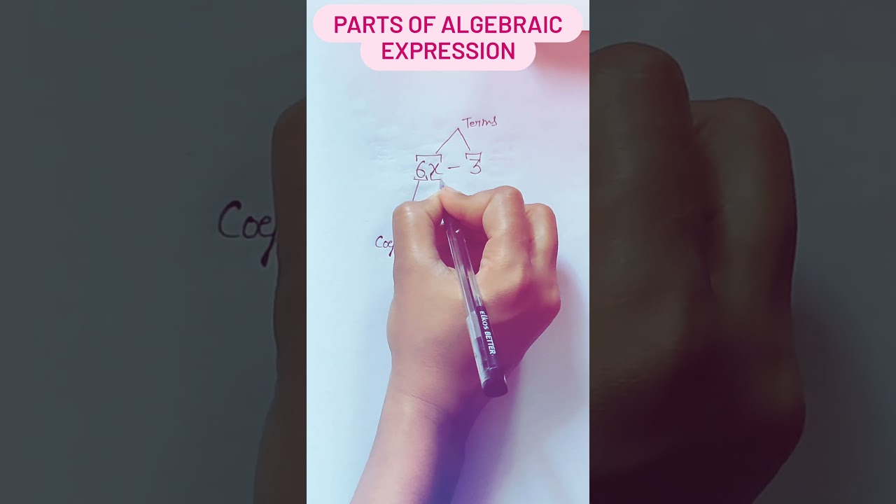 parts of algebraic expression #math #students #mathsstudents #ytshorts #mathtrick #mathexpert #study