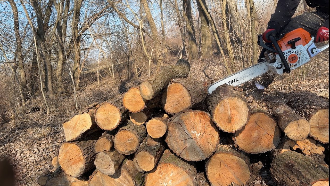 Egy kis gyors vagdosás STIHL MS362 