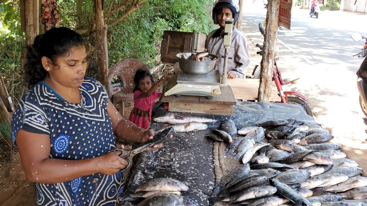 Wow!! Attractive Lakeside's Traditional Village Street Fish Market In Sri Lanka