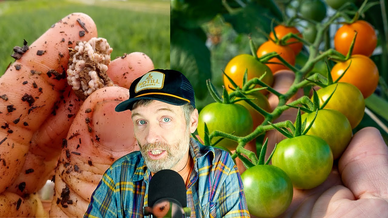 Using Legume Nodules to Fertilize Heavy Feeders? + Best Garden Hoes