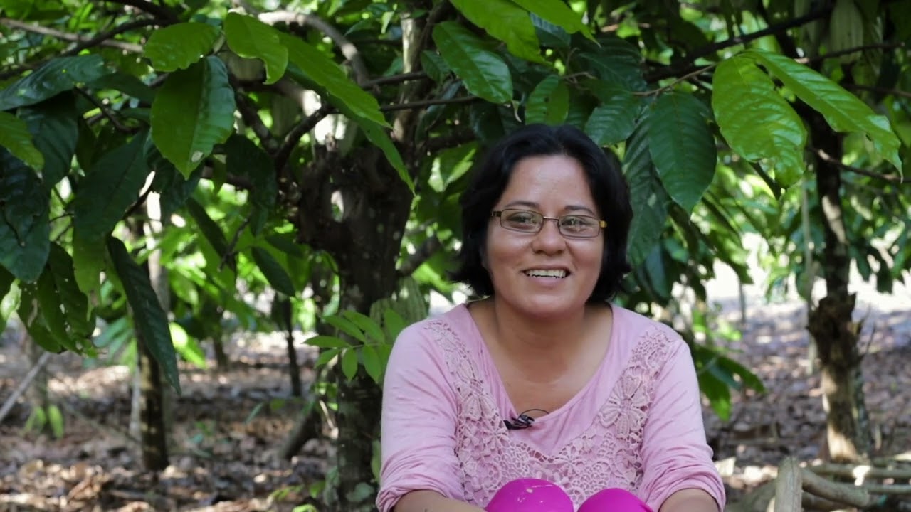 Soyolapan: entre la selva y el cacao
