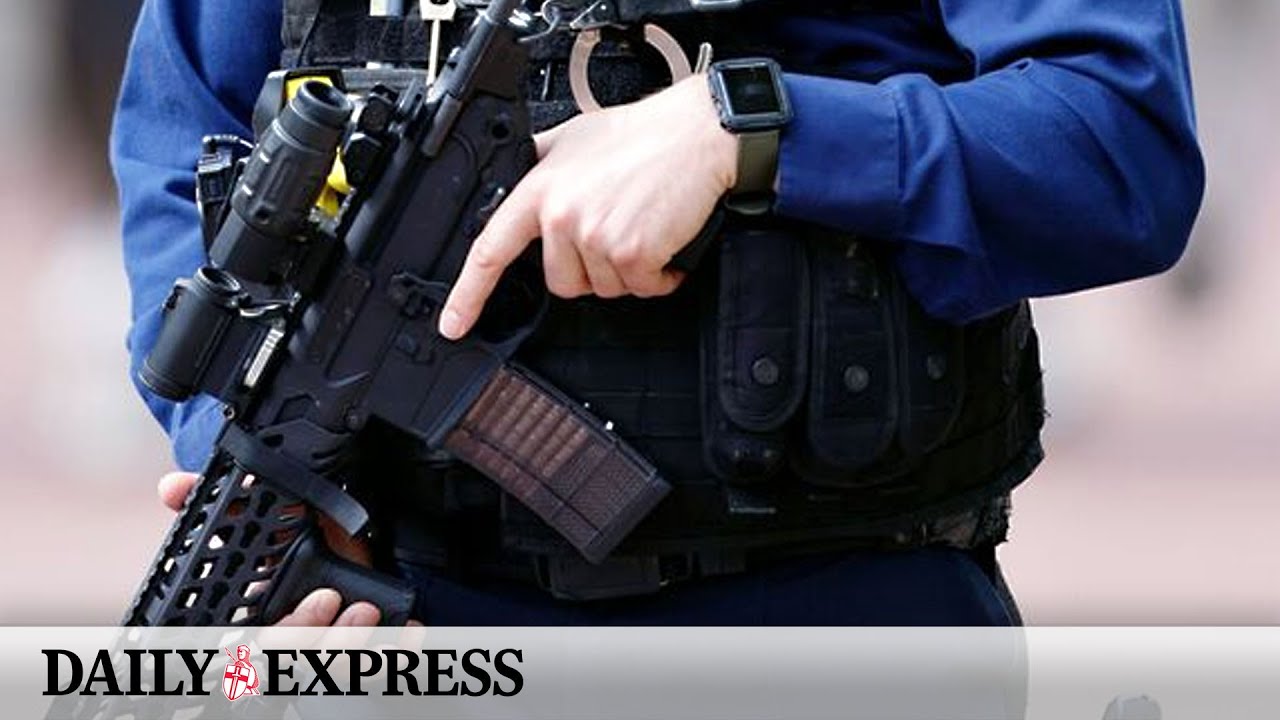 Army on standby after dozens of Met Police firearms officers down weapons