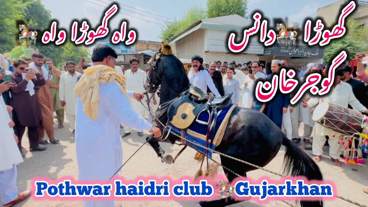 Horse Dance in Gujarkhan Pothwar Haidri Club Gujarkhan (2024) (گھوڑا دانس 🎠واہ گھوڑا واہ)
