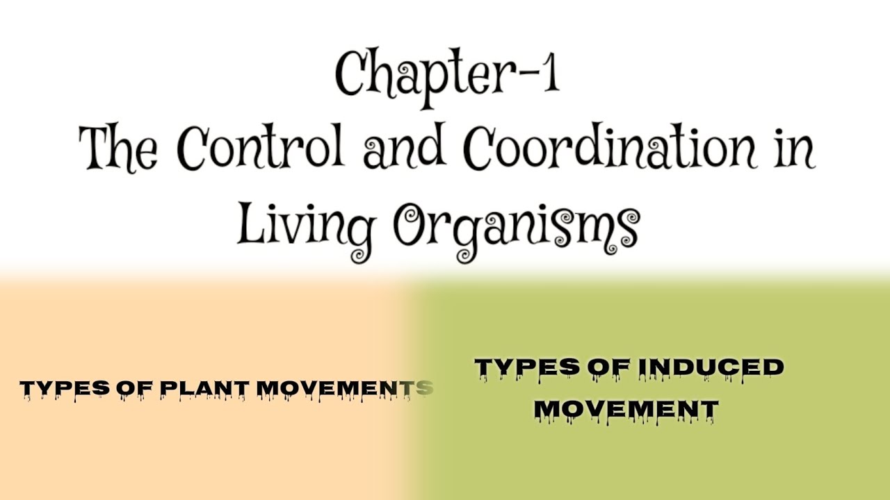 Basics of plant movement||class 10||life science|| madhyamik 2026 || wbse
